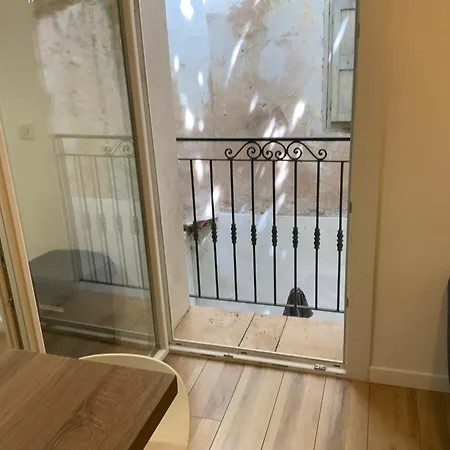 Palmiers 2 Pieces Antibes