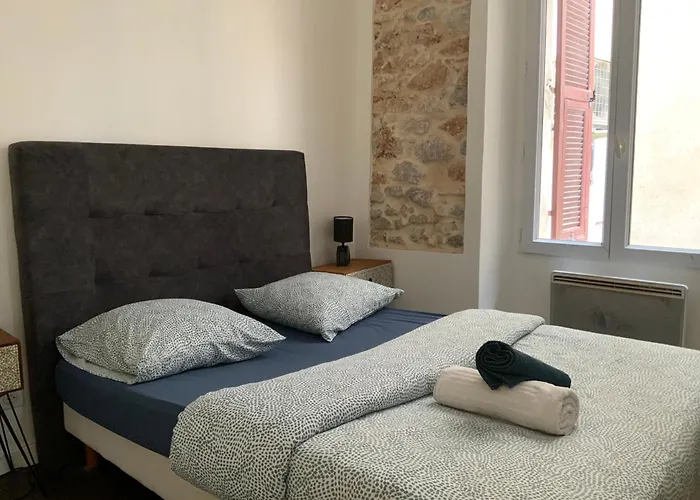 Palmiers 2 Pieces Apartment